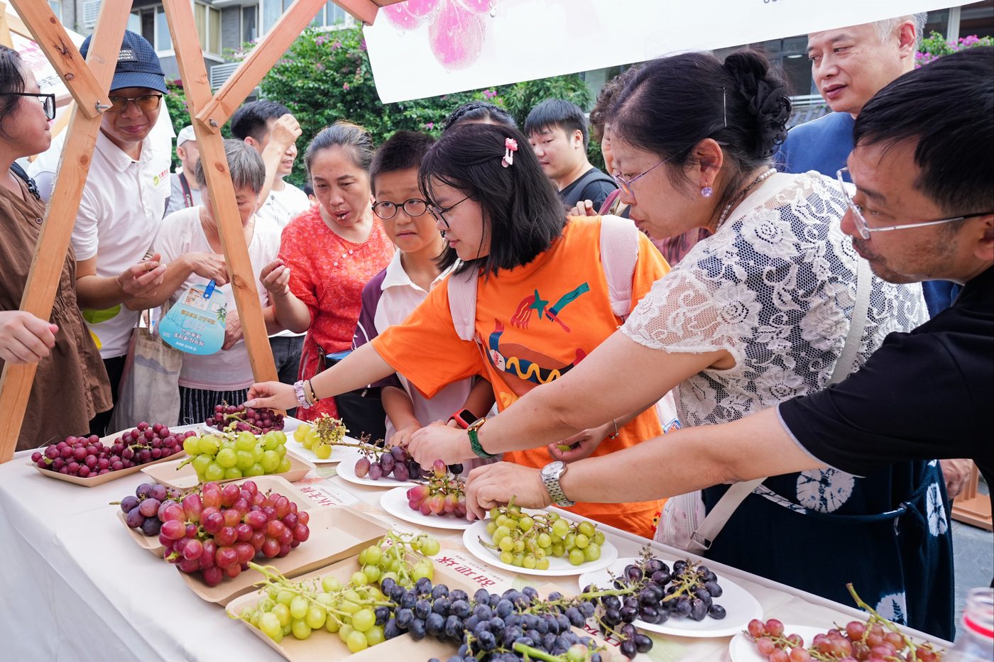 成都市民在宽窄巷子发布会现场品鉴罗拉葡萄等多个品种的高山葡萄