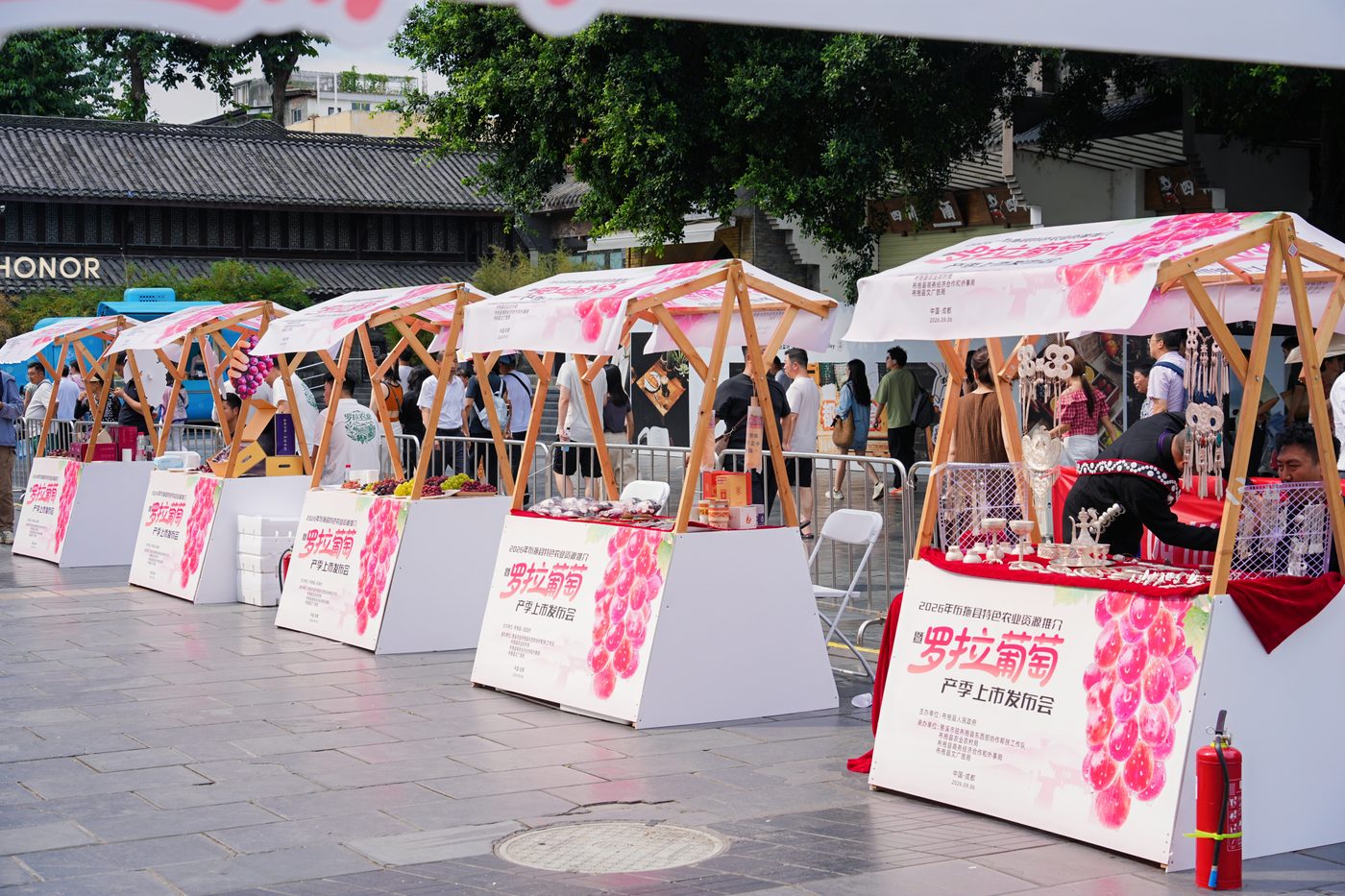 布拖县罗拉葡萄产季上市发布会现场，成都宽窄巷子东广场特色农产品展位区全景
